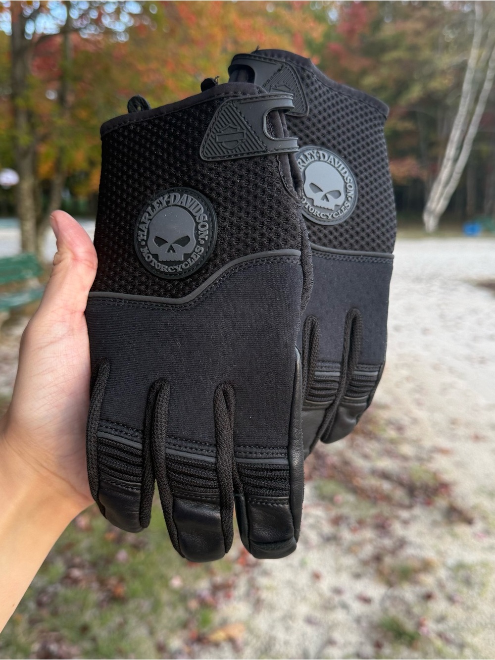 Harley-Davidson Men’s Black Skull Motorcycle Gloves ft Willy G. Skull